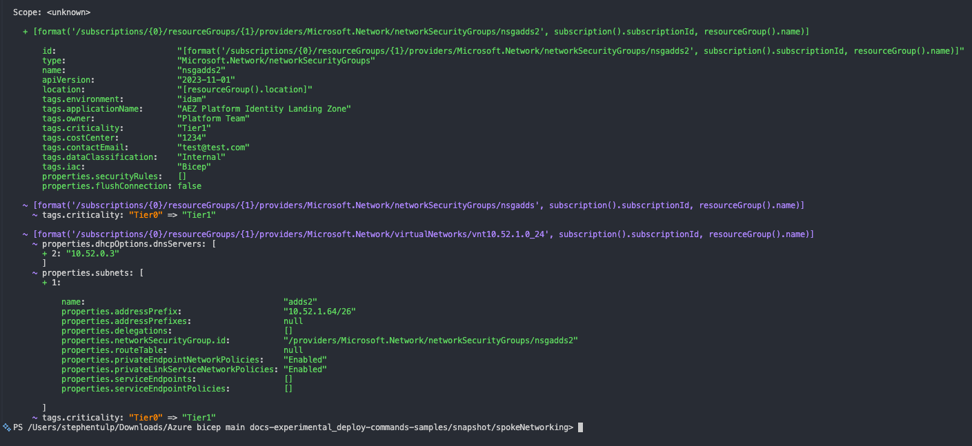 Bicep Snapshot Output